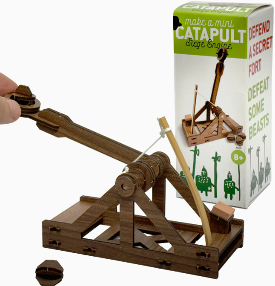 Mini Catapult: Wooden Engineering Model Building Kit