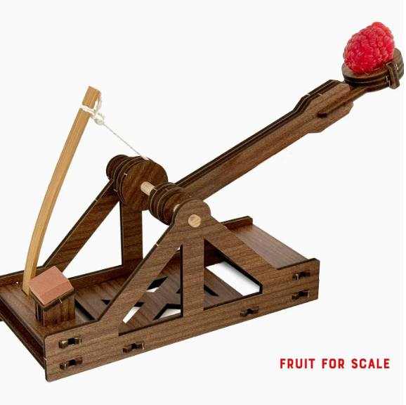 Mini Catapult: Wooden Engineering Model Building Kit