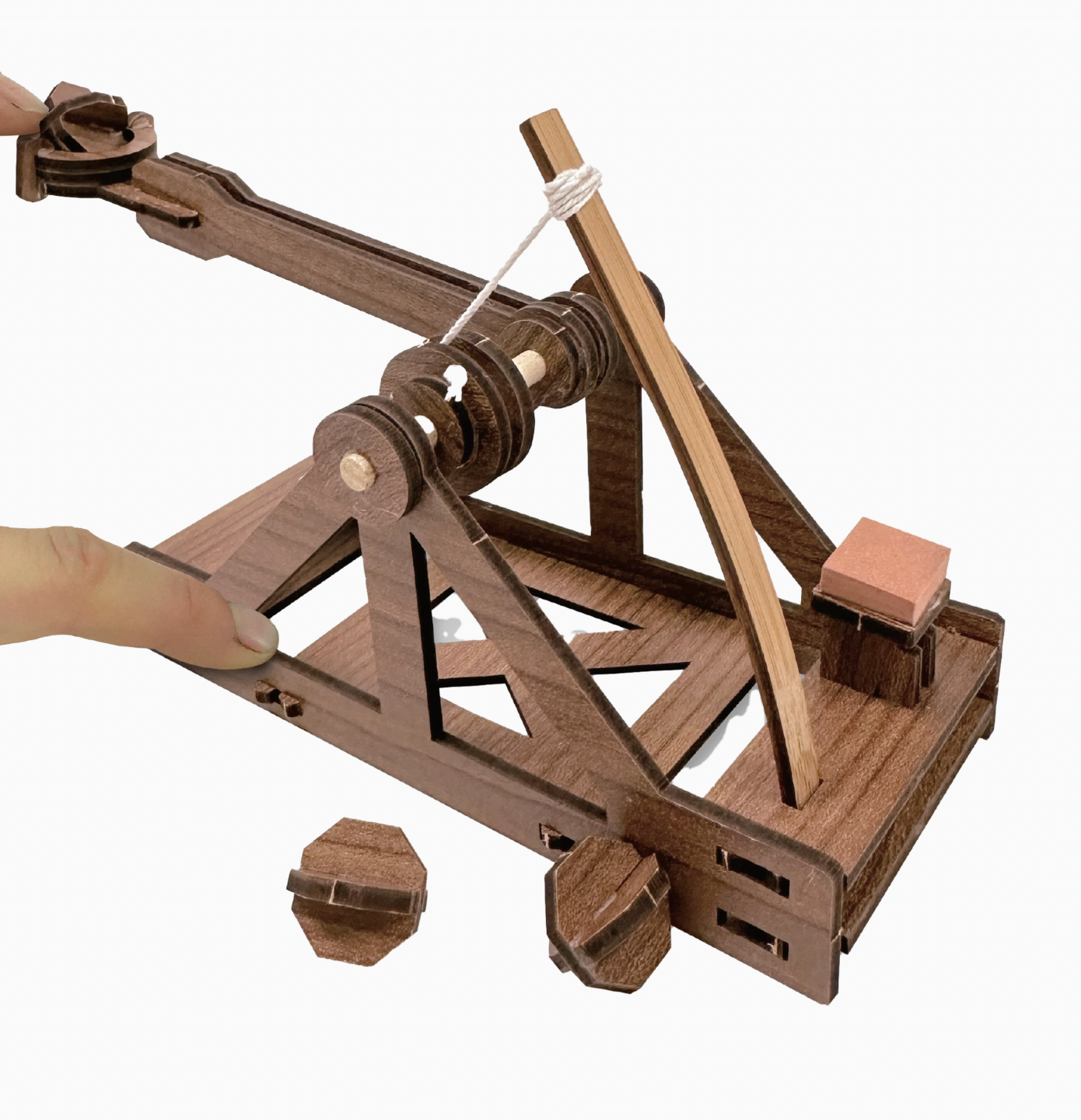 Mini Catapult: Wooden Engineering Model Building Kit